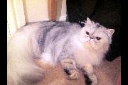 Winifred_2011