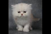 Lucio_24June2012