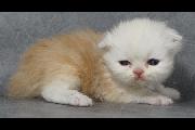 Julian_02Nov2012