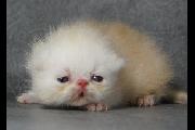 Timothy_19Nov2012