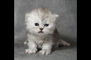 Hector_23June2014