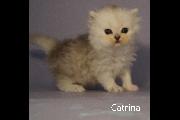 Catrina 01 July 2022