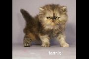 Hannie 01 July 2022