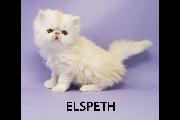 Elspeth 08 Sep 2024