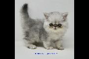 Funny Lady 02 Aug 2026